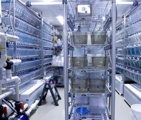 動(dòng)物實(shí)驗(yàn)室檢測(cè)